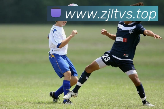 九游电子娱乐网站平台生态图